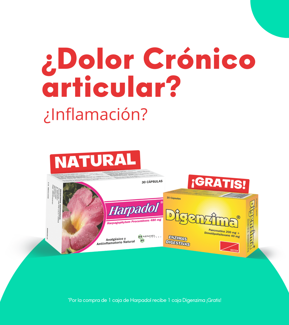 Harpadol caja x 30 cápsulas + 1 Digenzima x 20 cápsulas ¡Gratis! - digestivos - L.394.00 - Quimifar Honduras - Farmacia en línea con envío gratis